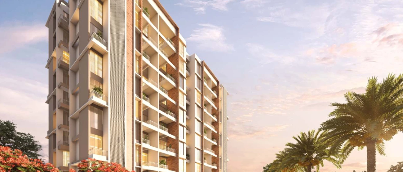 Legacy Millennia B 1