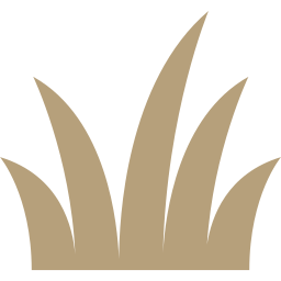 lawn (falcon)
