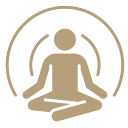 meditation zoone (millenia a)